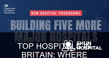 what is the best hospital in britain