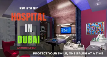 Dubai's Top-Rated Hospital: An In-Depth Review