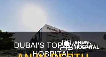 what is the best hospital in dubai