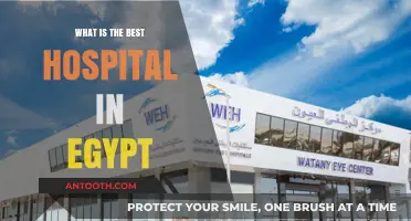 Top Hospitals in Egypt: Where to Go for Care