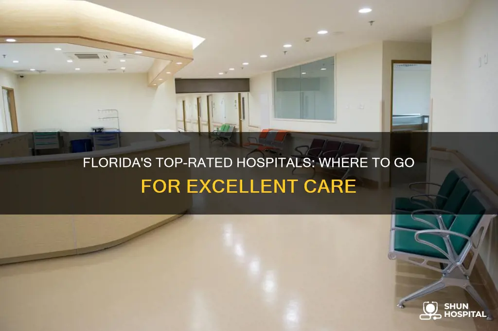 what is the best hospital in florida