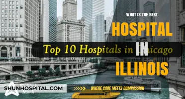 Top-Rated Hospitals in Illinois: Where to Go for Care