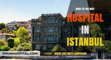 Istanbul's Leading Hospitals: Top Facilities