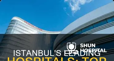 what is the best hospital in istanbul