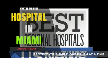 Miami's Top-Rated Hospitals: Where to Go for Excellent Care