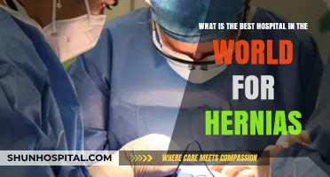 Top Global Hospitals for Hernia Repair: Expert Care and Outcomes