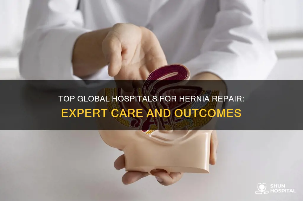 what is the best hospital in the world for hernias