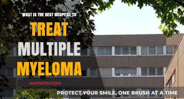 Top Hospitals for Multiple Myeloma Treatment: Expert Care and Outcomes