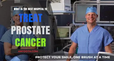 Top Hospitals for Prostate Cancer Treatment: Expert Care and Outcomes