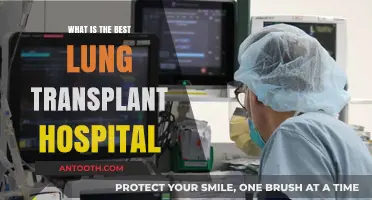 Top Lung Transplant Hospitals: Where to Go?