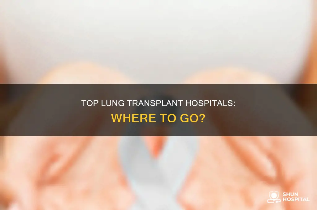 what is the best lung transplant hospital