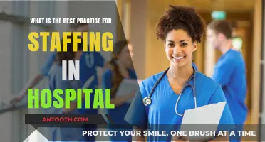Optimal Hospital Staffing Strategies for Enhanced Patient Care and Efficiency
