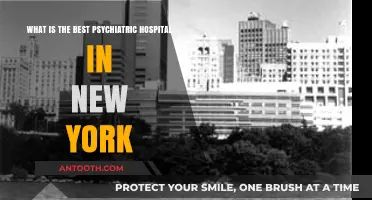 Top Psychiatric Hospitals in New York: Expert Care and Support