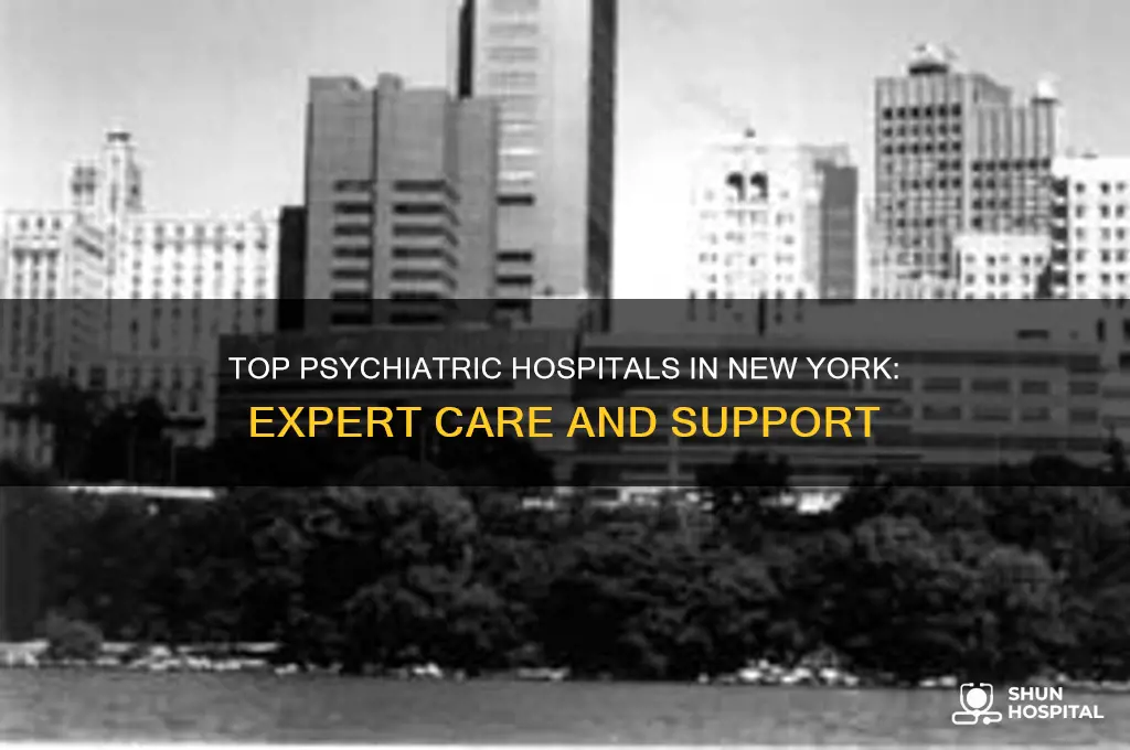 what is the best psychiatric hospital in new york