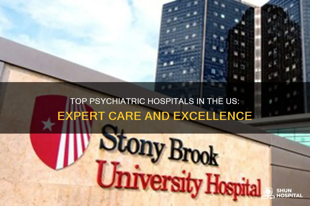 what is the best psychiatric hospital in the united states