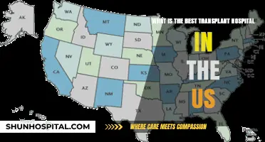 Top US Transplant Hospitals: Expert Care and Success Rates Compared