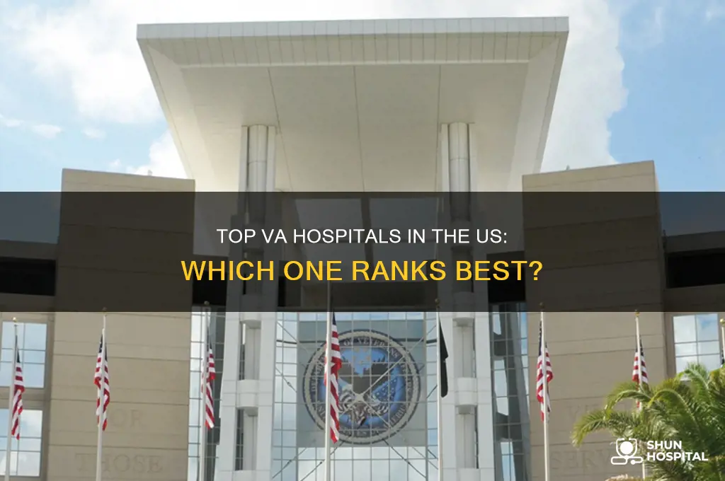 what is the best va hospital in the country