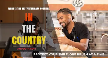 Top Veterinary Hospitals: Unveiling the Nation's Best Pet Care Centers