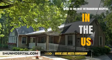 Top US Veterinary Hospitals: Expert Care for Your Pets