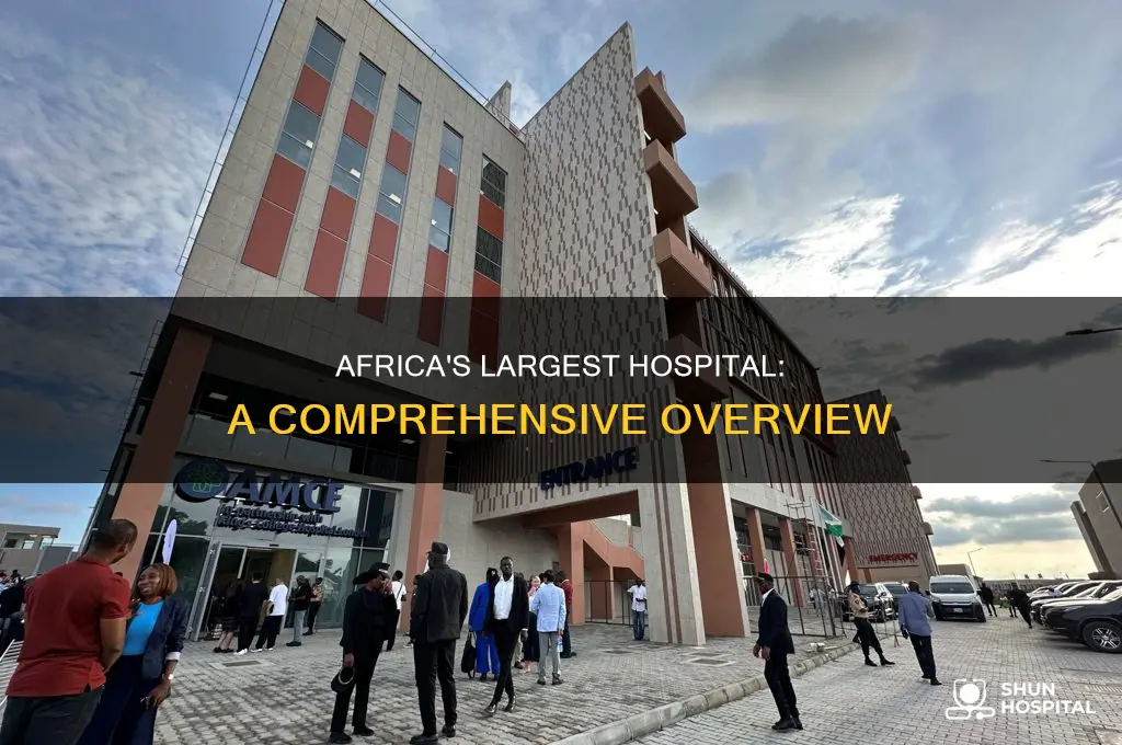 what is the biggest hospital in africa
