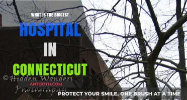 Connecticut's Largest Hospital: A Comprehensive Healthcare Hub