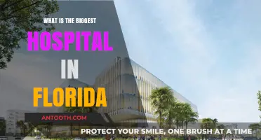 Florida's Largest Hospital: A Comprehensive Healthcare Hub