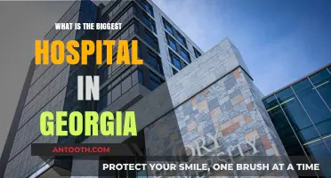 Georgia's Largest Hospital: A Comprehensive Healthcare Hub