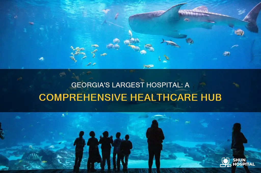 what is the biggest hospital in georgia