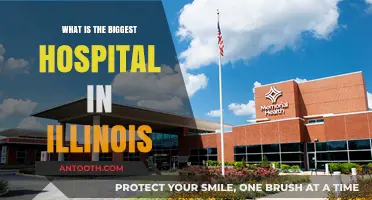 Illinois' Largest Hospital: A Comprehensive Healthcare Center
