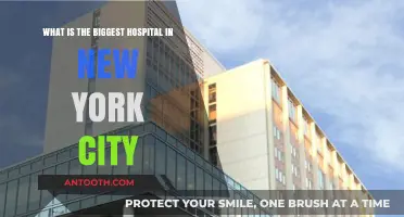 Exploring NYC's Largest Hospital: A Comprehensive Guide to Its Size and Services