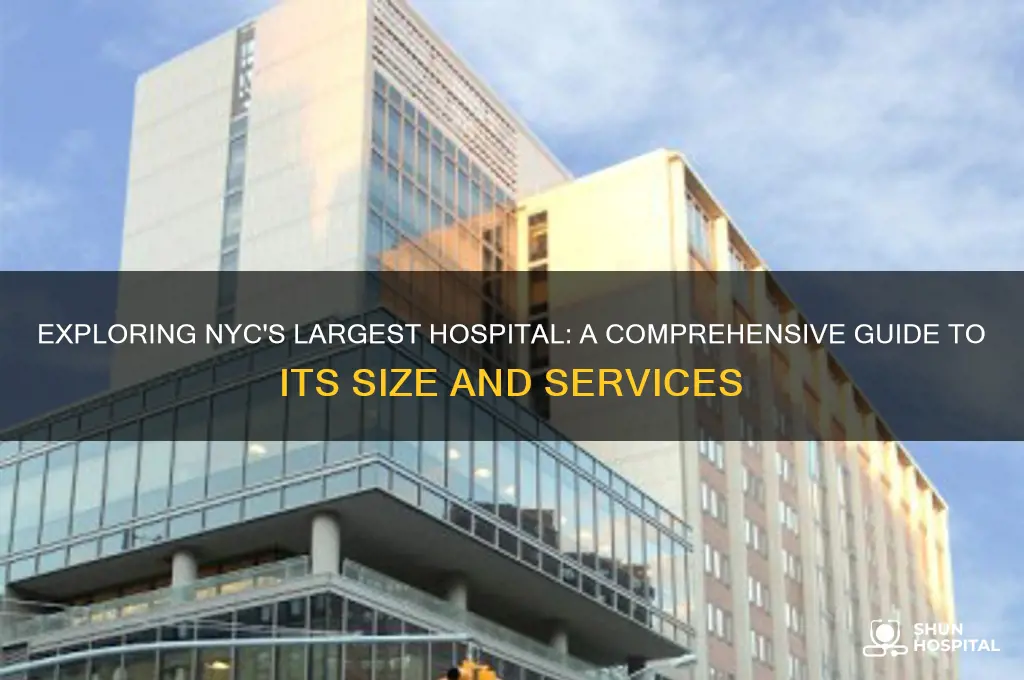 what is the biggest hospital in new york city