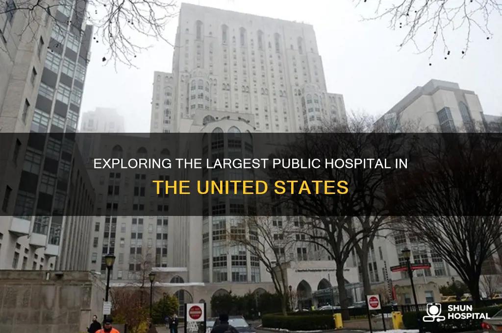 what is the biggest public hospital in the us