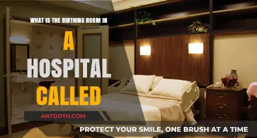 Understanding the Hospital Birthing Room: What It's Called and Why