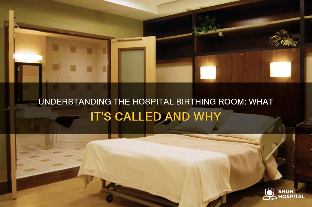 what is the birthing room in a hospital called