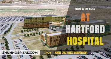 Hartford Hospital's BLISS: A Comprehensive Care Program