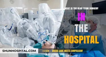 Understanding Blue Team Surgery: Hospital Procedures and Patient Care Explained