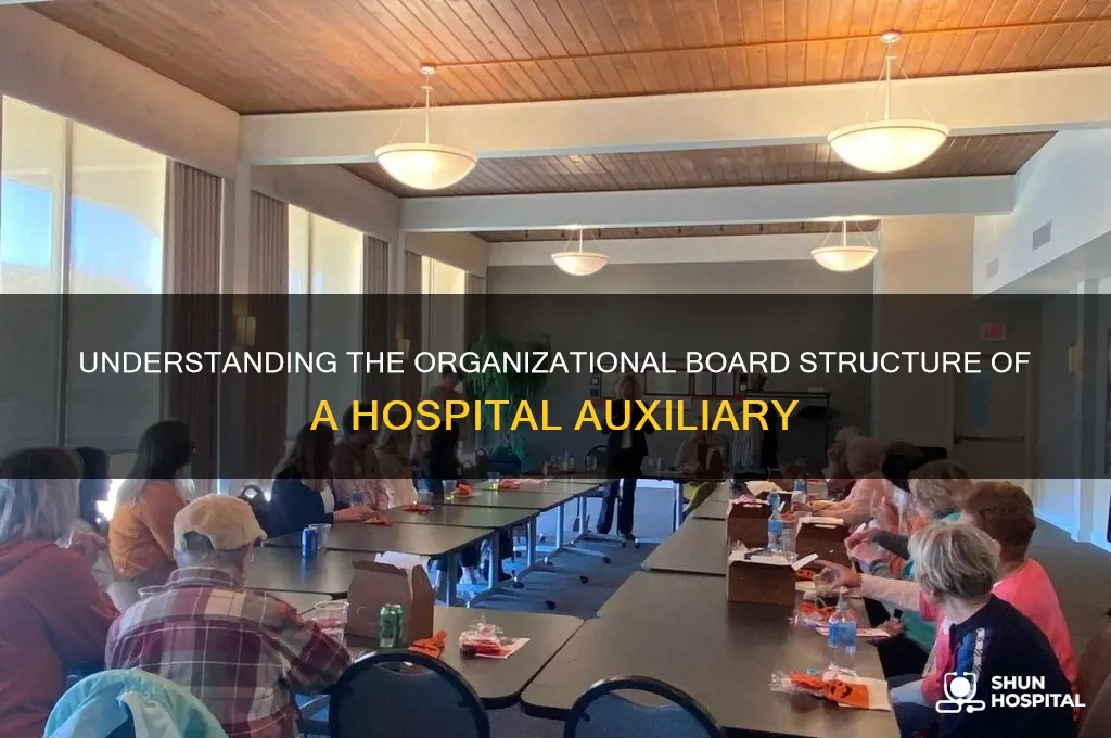 what is the board structure for a hospital auxillairy