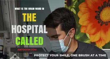 Understanding the Hospital's Brain Ward: What It's Called and Its Role