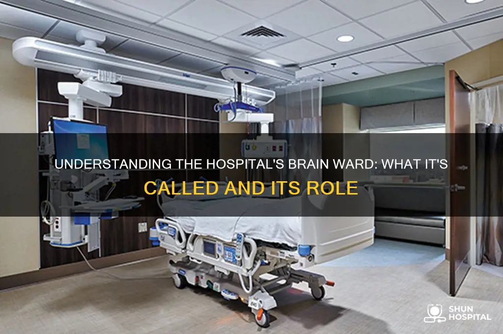 what is the brain ward in the hospital called