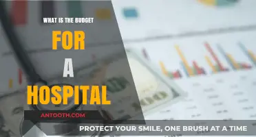 Planning a Hospital Budget: How Much Does it Cost?