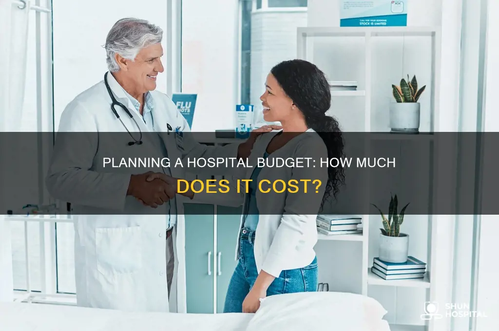 what is the budget for a hospital