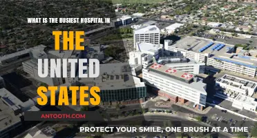 Exploring America's Busiest Hospital: A Look at Patient Volume and Care