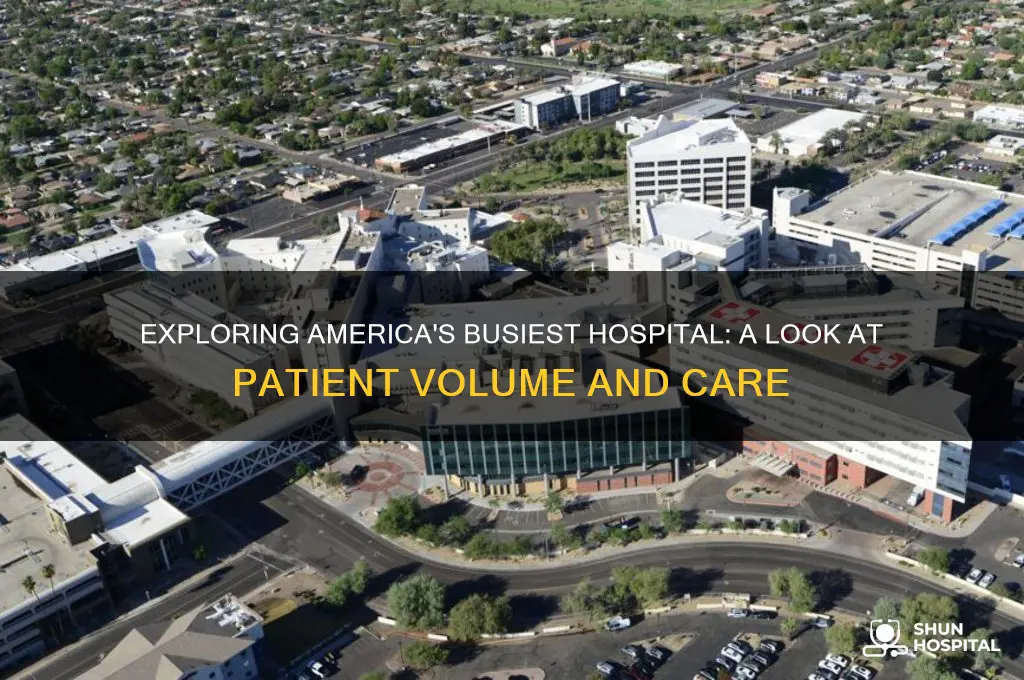 what is the busiest hospital in the united states
