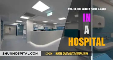 Understanding the Oncology Ward: What’s the Cancer Floor Called in Hospitals?