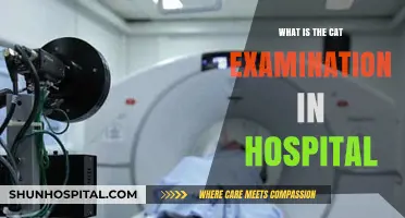 CAT Scan: Understanding Hospital Imaging Techniques