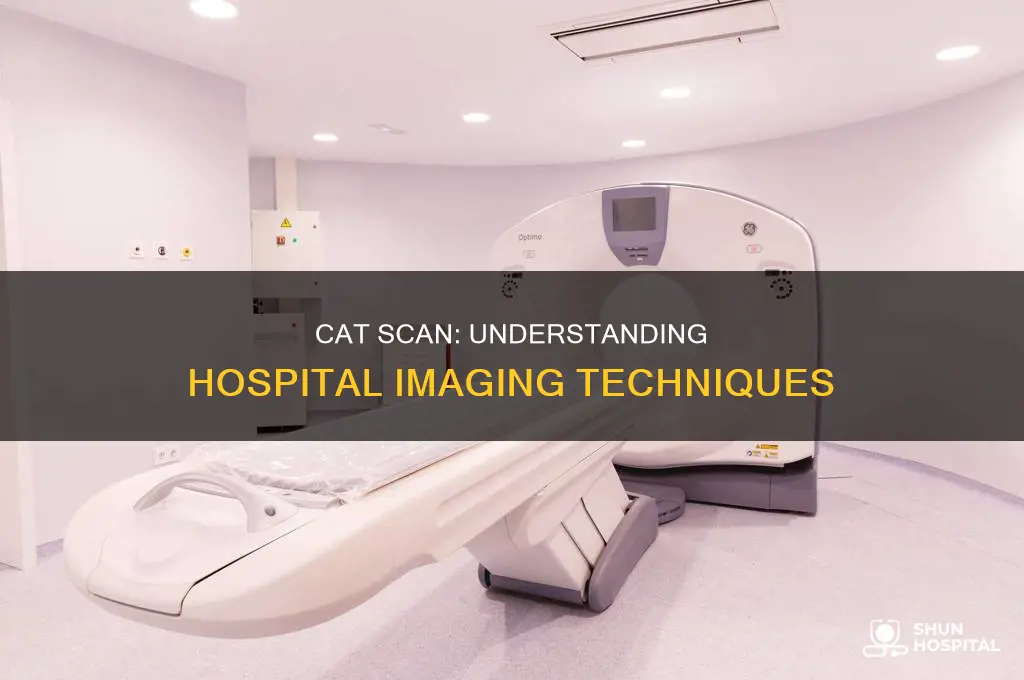 what is the cat examination in hospital