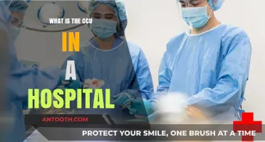 Critical Care Units: Saving Lives in Hospitals