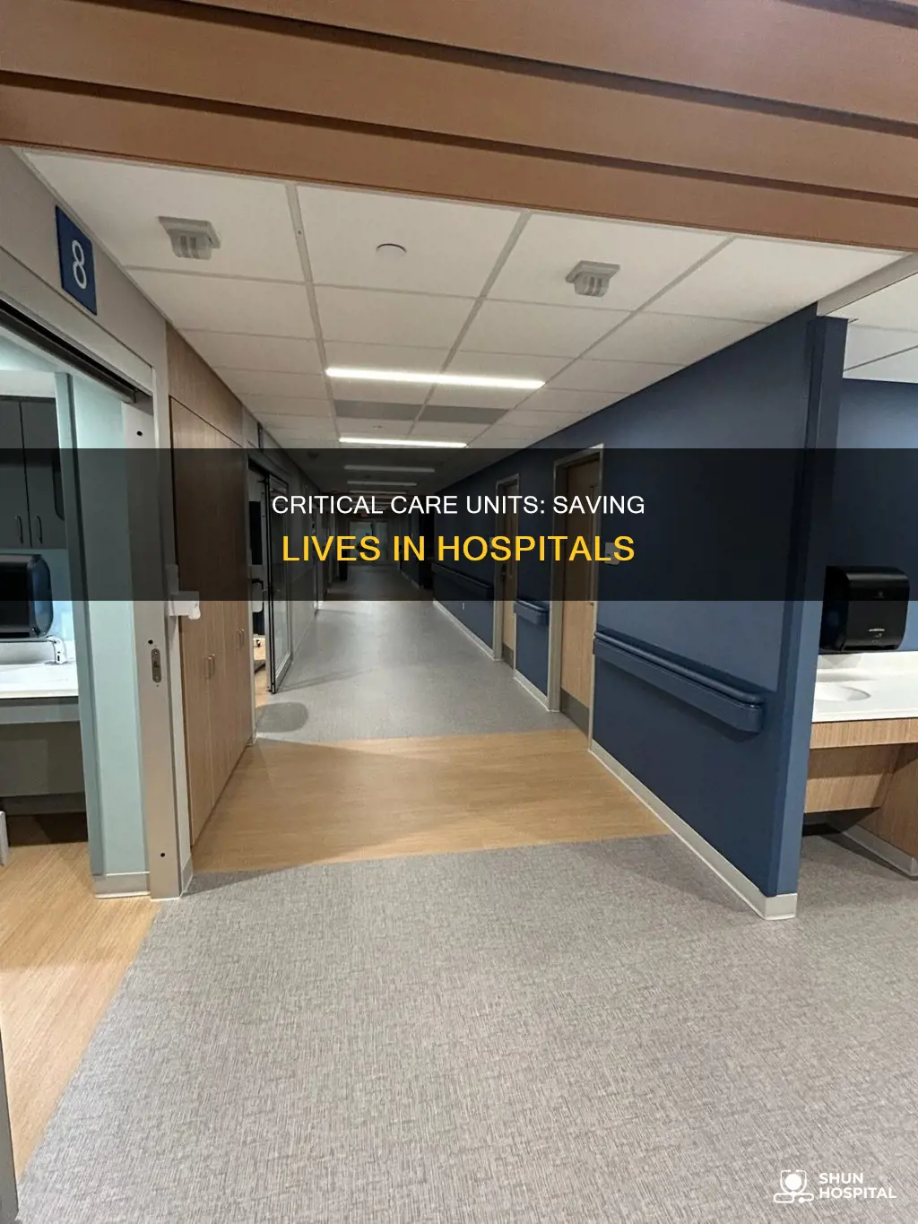what is the ccu in a hospital