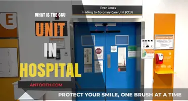 Understanding Critical Care Units: CCU Hospital Services