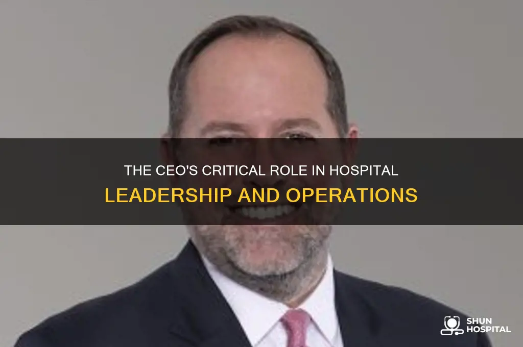 what is the ceo